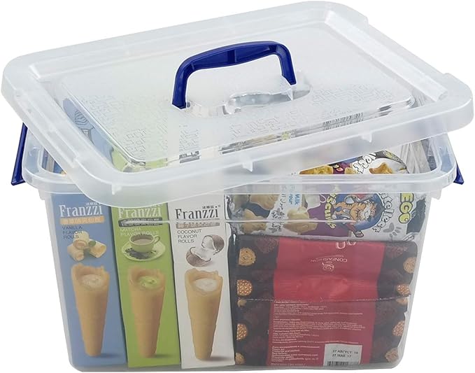 10 L Clear Plastic Storage Box, Latch Storage Box with Handle, 6-Pack
