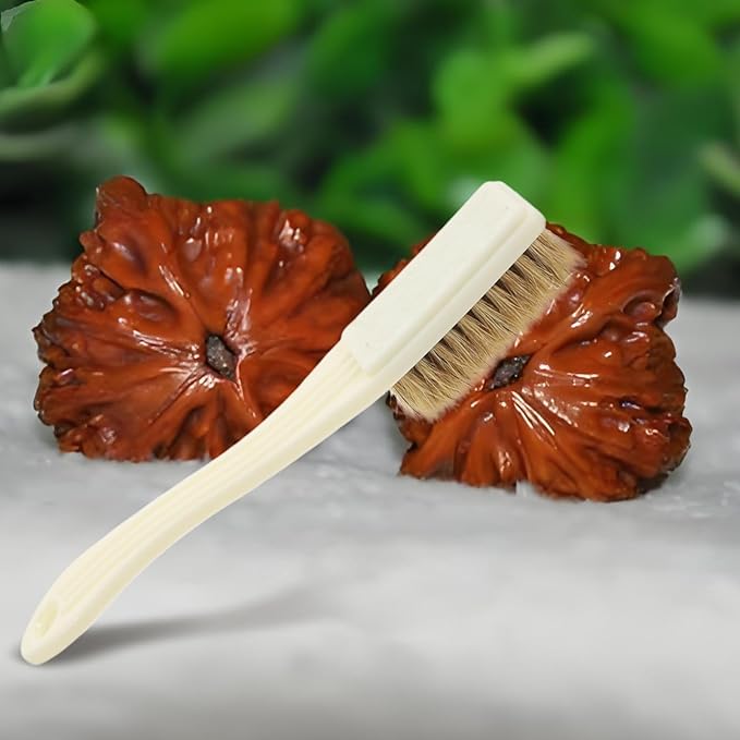 Cabilock 6pcs Small Cleaning Brushes Stiff Bristles Industrial Rust Removal Mini Toothbrush Set for Grout, Crevice, and Household Surface Cleaning