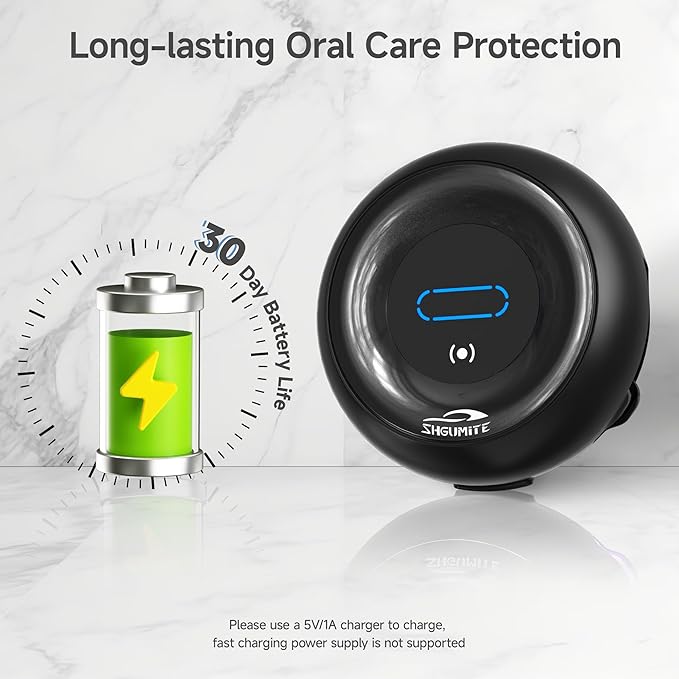 Toothbrush Holder Sanitizer - Cleaning & Drying, Rechargeable Wall-Mounted Toothbrush Organizer with Touch Control, Two-Slot Design for Bathroom (Black)