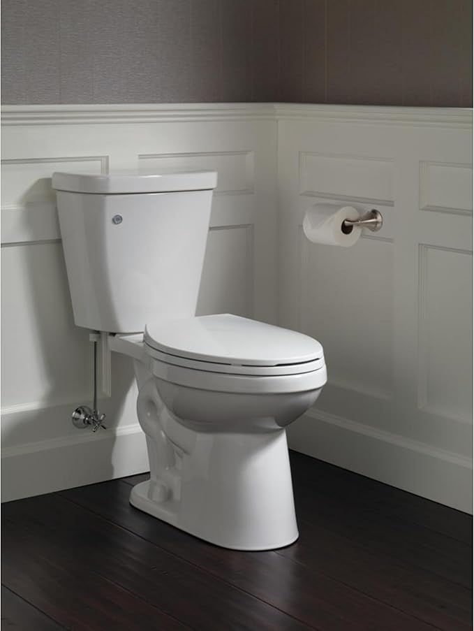 DELTA FAUCET Rubber Limited 79450-SS Linden Wall Mount Pivot Arm Toilet Paper Holder Bath Hardware Accessory in Stainless Steel
