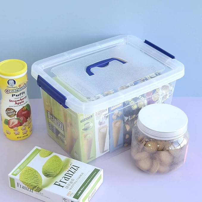 10 L Clear Plastic Storage Box, Latch Storage Box with Handle, 6-Pack