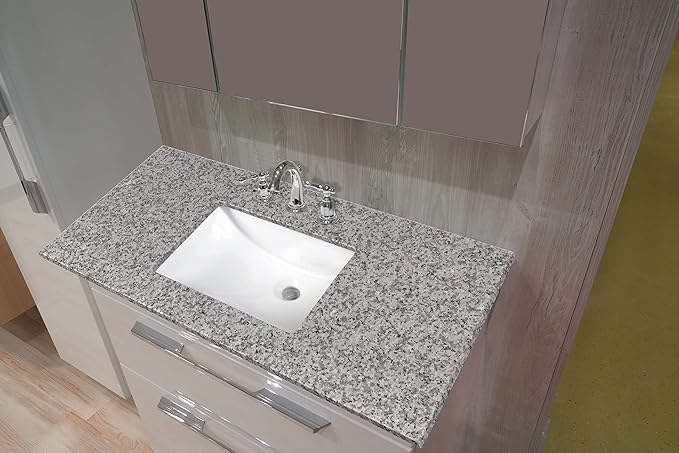 MSI Argento Grigio Vanity Top with Under Mount Rectangle Ceramic Sinks, Engineered Granite Stone, 4" CC Faucet Holes, 49"X22"