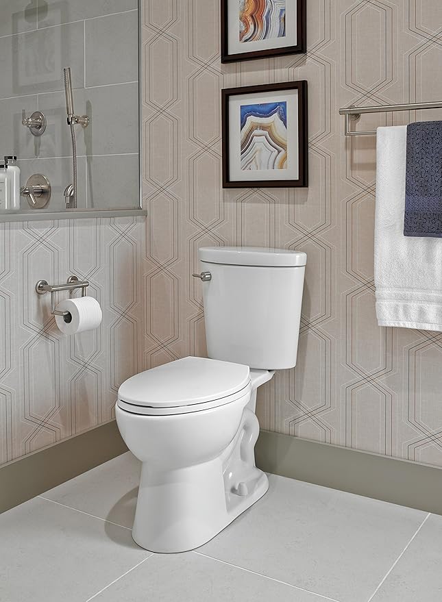 Delta Contemporary (1-Pack) Toilet Paper Holder w/ Assist Bar ADA Compliant Brilliance Stainless Steel 300 lb Capacity Grab Bar Seniors Bath Safety Handle, Balance for Toilet Area Grip Bar 41550-SS