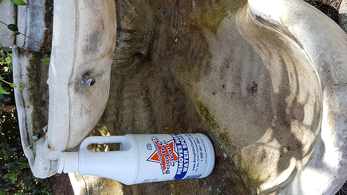 Bring It On Cleaner Water Spot Remover Plus 5 Inch Cleaning Drill Scrub Brush, Cleaning Drill Scrub Brush, Cleaning Brush for Drill, Drill Brush Attachment (16 oz)